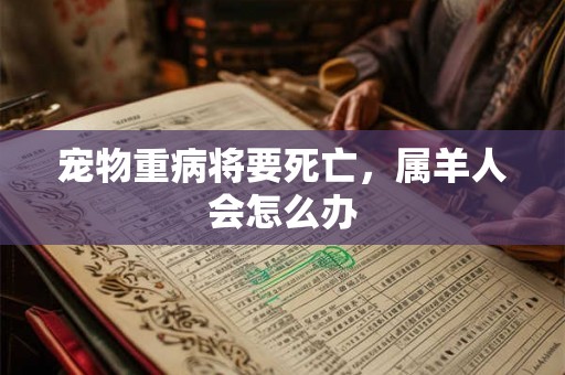 宠物重病将要死亡，属羊人会怎么办