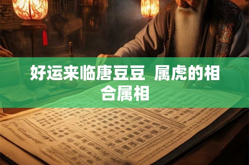 好运来临唐豆豆  属虎的相合属相