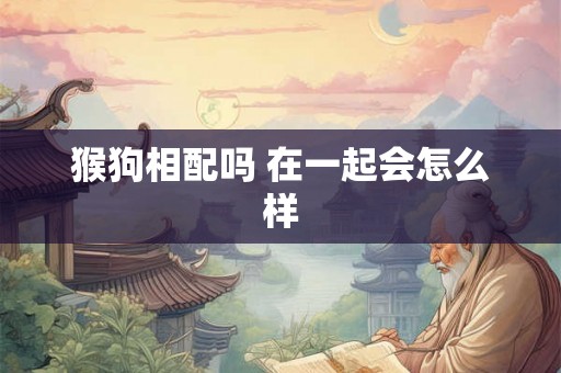 猴狗相配吗 在一起会怎么样