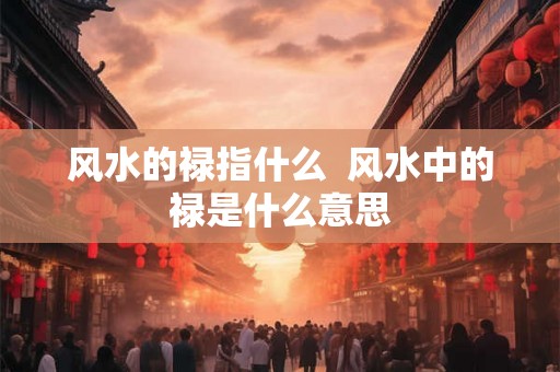 风水的禄指什么  风水中的禄是什么意思
