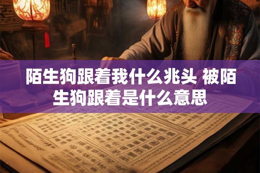 陌生狗跟着我什么兆头 被陌生狗跟着是什么意思