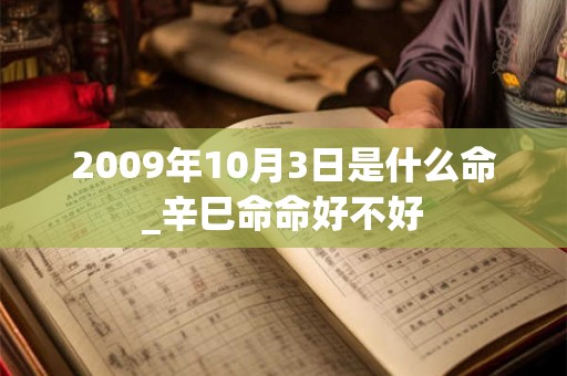 2009年10月3日是什么命_辛巳命命好不好