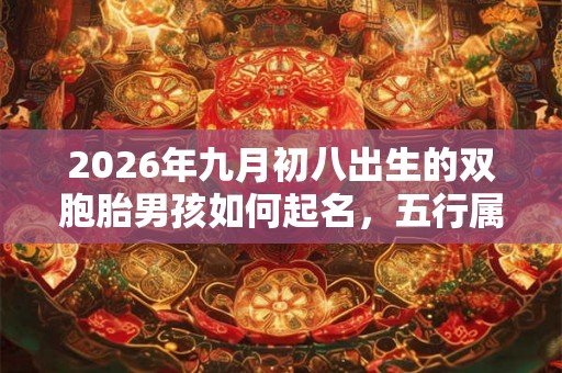 2026年九月初八出生的双胞胎男孩如何起名，五行属什么