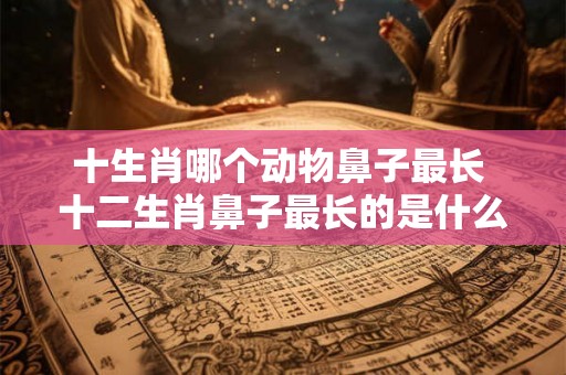 十生肖哪个动物鼻子最长 十二生肖鼻子最长的是什么