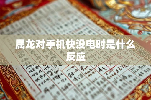 属龙对手机快没电时是什么反应