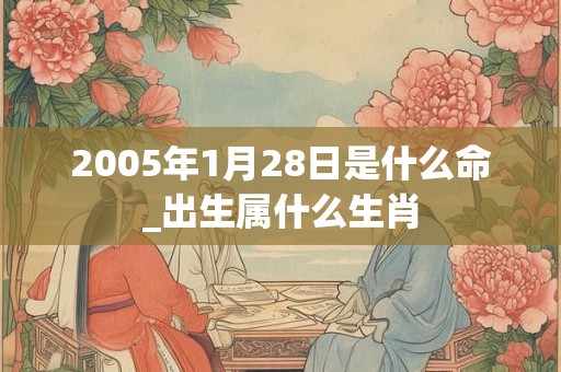 2005年1月28日是什么命_出生属什么生肖