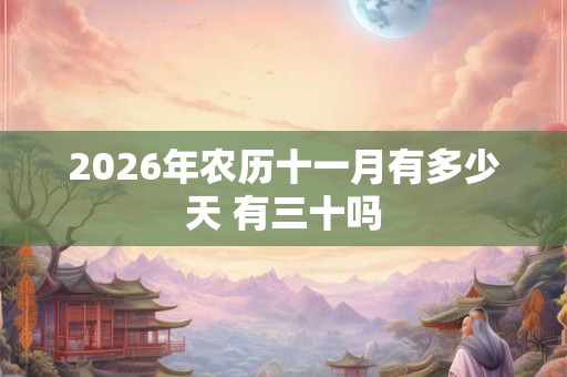2026年农历十一月有多少天 有三十吗