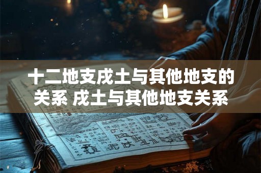 十二地支戌土与其他地支的关系 戌土与其他地支关系