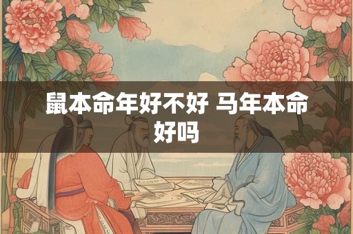 鼠本命年好不好 马年本命好吗 鼠本命年好不好 马年本命好吗