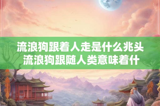 流浪狗跟着人走是什么兆头 流浪狗跟随人类意味着什么