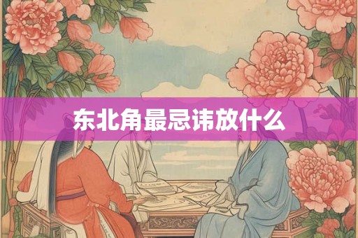 东北角最忌讳放什么