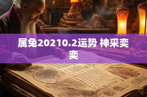 属兔20210.2运势 神采奕奕