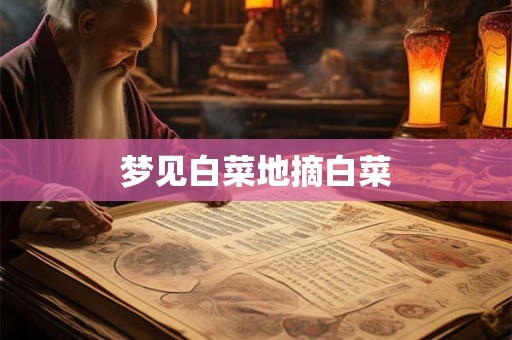 梦见白菜地摘白菜