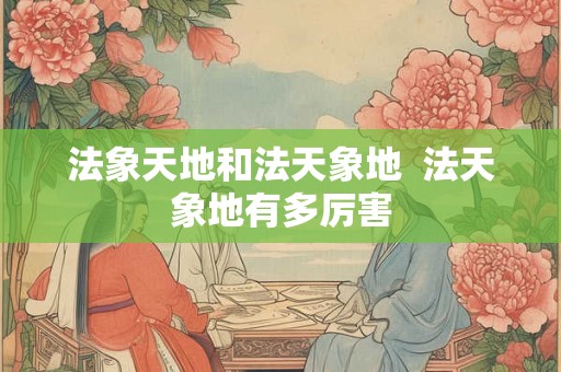 法象天地和法天象地  法天象地有多厉害