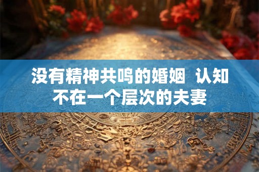 没有精神共鸣的婚姻  认知不在一个层次的夫妻