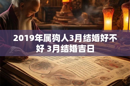 2019年属狗人3月结婚好不好 3月结婚吉日