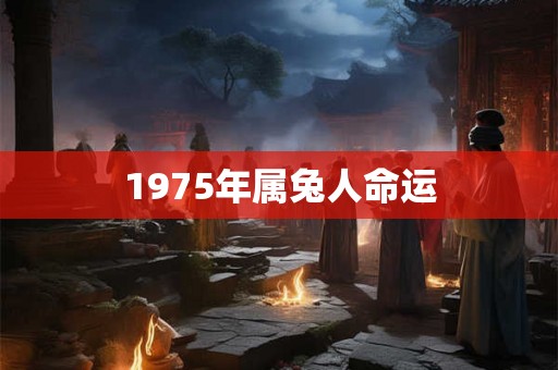 1975年属兔人命运