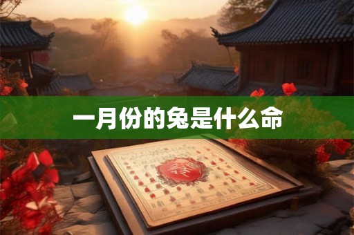 一月份的兔是什么命