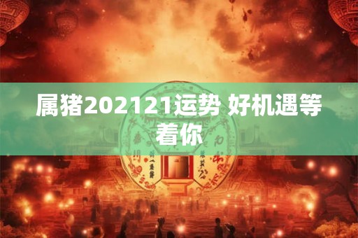 属猪202121运势 好机遇等着你