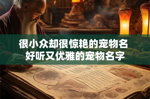 很小众却很惊艳的宠物名 好听又优雅的宠物名字