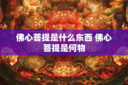 佛心菩提是什么东西 佛心菩提是何物