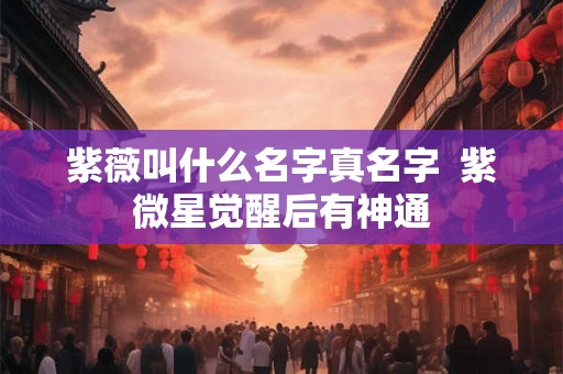 紫薇叫什么名字真名字  紫微星觉醒后有神通