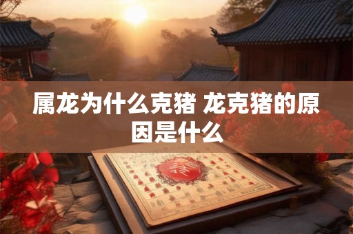 属龙为什么克猪 龙克猪的原因是什么