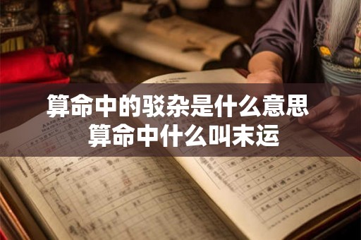 算命中的驳杂是什么意思  算命中什么叫末运