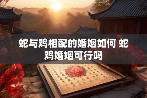 蛇与鸡相配的婚姻如何 蛇鸡婚姻可行吗