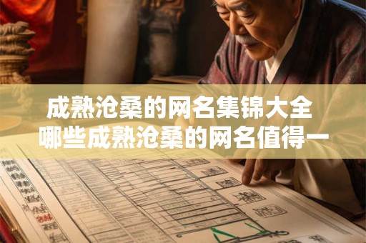 成熟沧桑的网名集锦大全 哪些成熟沧桑的网名值得一看