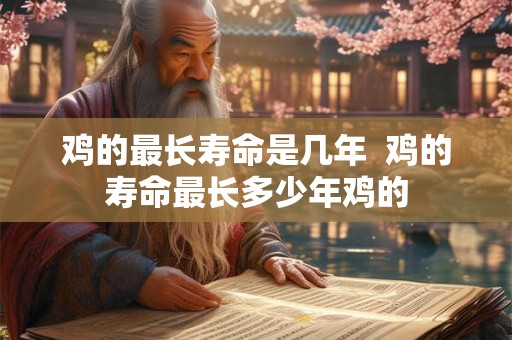 鸡的最长寿命是几年  鸡的寿命最长多少年鸡的