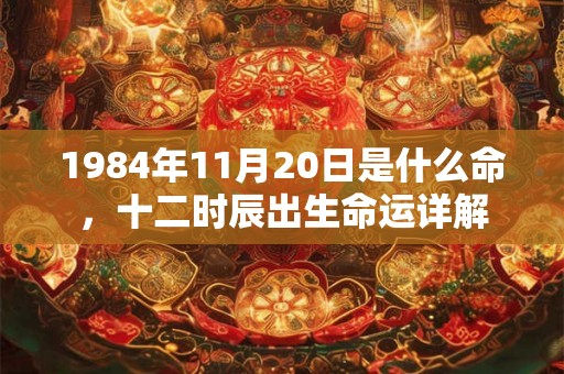 1984年11月20日是什么命，十二时辰出生命运详解