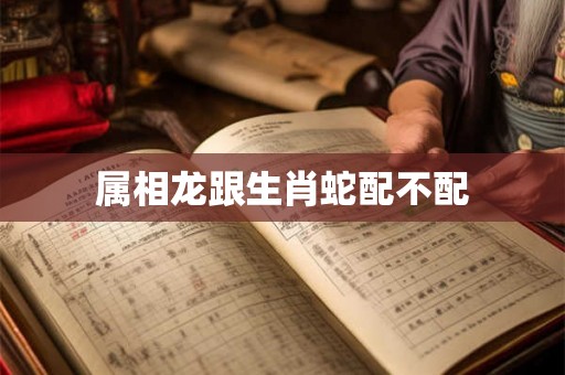 属相龙跟生肖蛇配不配 属相龙跟生肖蛇配不配