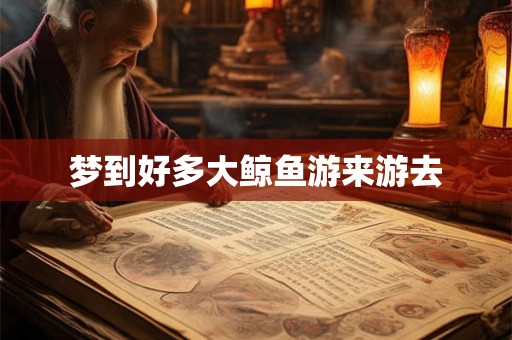 梦到好多大鲸鱼游来游去