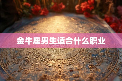 金牛座男生适合什么职业