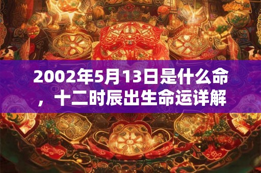 2002年5月13日是什么命，十二时辰出生命运详解
