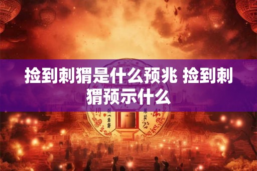 捡到刺猬是什么预兆 捡到刺猬预示什么