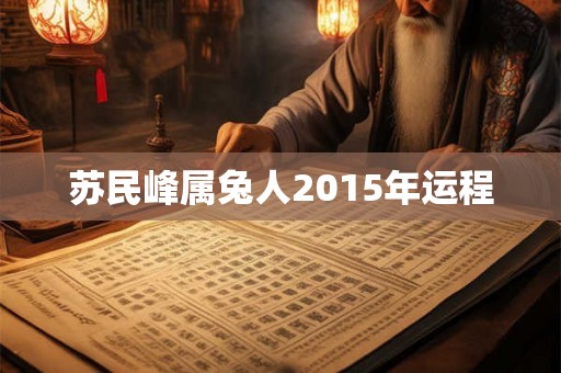 苏民峰属兔人2015年运程