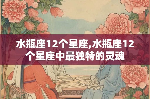 水瓶座12个星座,水瓶座12个星座中最独特的灵魂
