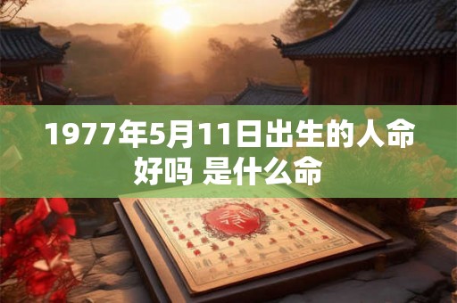 1977年5月11日出生的人命好吗 是什么命