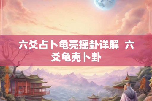 六爻占卜龟壳摇卦详解  六爻龟壳卜卦