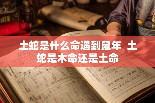 土蛇是什么命遇到鼠年 土蛇是木命还是土命 土蛇是什么命遇到鼠年 土蛇是木命还是土命
