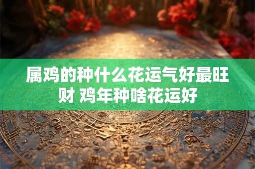 属鸡的种什么花运气好最旺财 鸡年种啥花运好