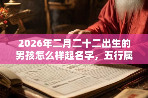 2026年二月二十二出生的男孩怎么样起名字，五行属什么