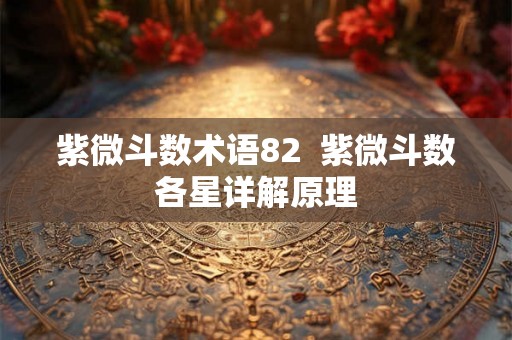 紫微斗数术语82  紫微斗数各星详解原理