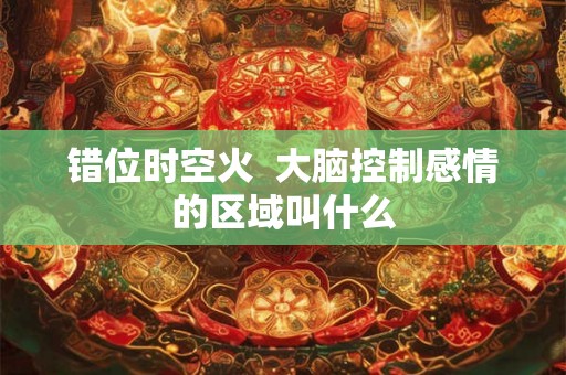 错位时空火  大脑控制感情的区域叫什么