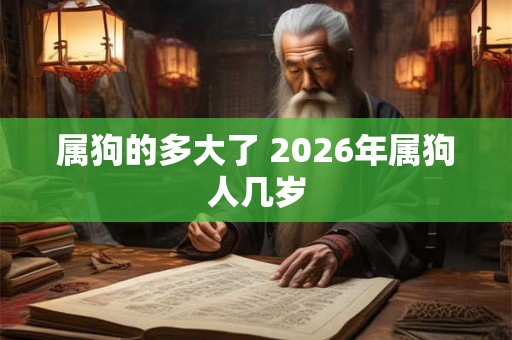 属狗的多大了 2026年属狗人几岁