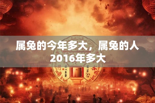 属兔的今年多大，属兔的人2016年多大