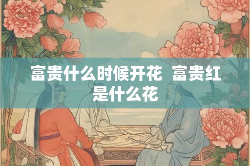 富贵什么时候开花  富贵红是什么花