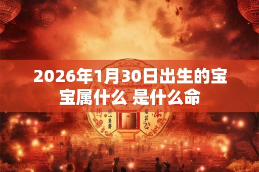 2026年1月30日出生的宝宝属什么 是什么命